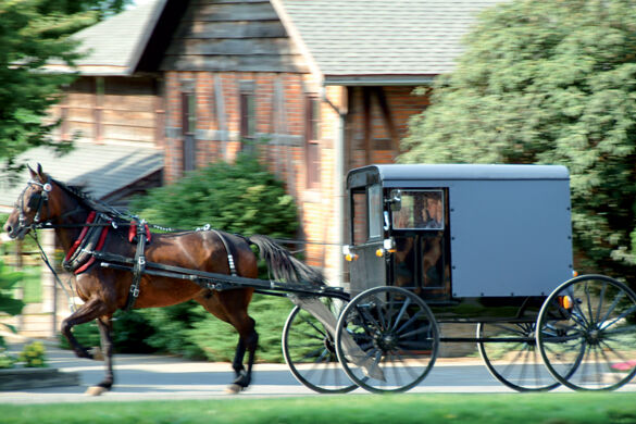 (Image) image Etats Unis lancaster amish 96 fo_3737514 - Photo