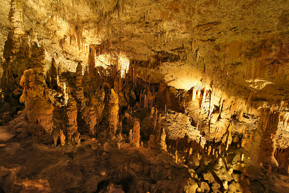 (Image)-image-Slovenie-Grotte-de-Postojna-it_482370594.jpg - Photo